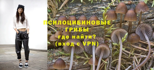 прущая мука Верхний Тагил