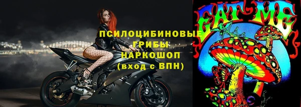 молекула духа Волоколамск