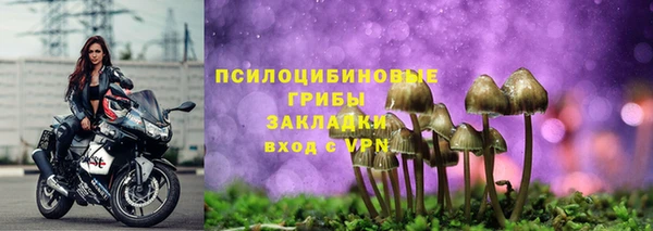 прущая мука Верхний Тагил