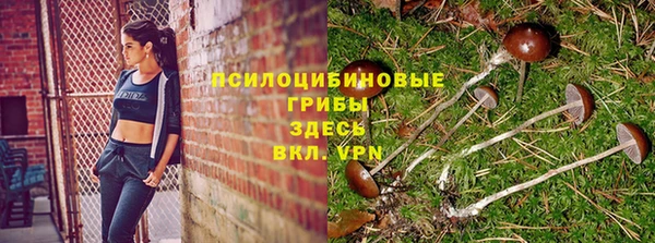 твердый Верея